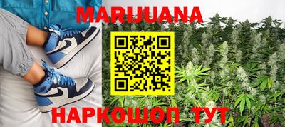 гидропоника Кингисепп