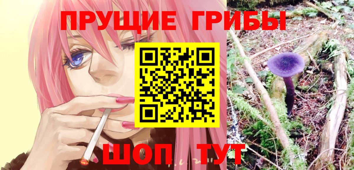 Галлюциногенные грибы прущие грибы Красноярск