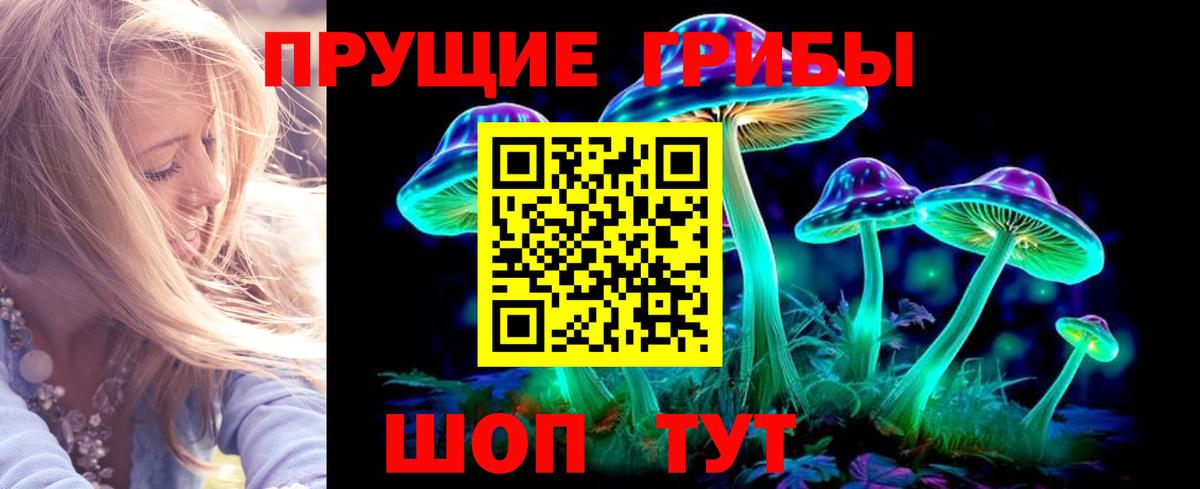 Галлюциногенные грибы Magic Shrooms  Вход с VPN  Красноярск 